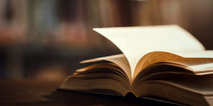 Le frasi più belle di Alda Meri