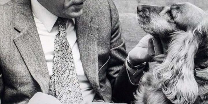 Giuseppe Berto visto attraverso Il cielo è rosso