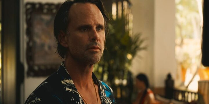 The white Lotus ritorna con una terza stagione scoppiettante